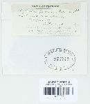 Blumeriella jaapii image