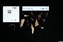Marasmius palmivorus image