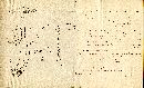 Cortinarius elatior image