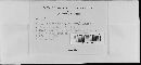 Albugo candida image