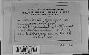 Albugo candida image