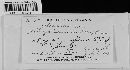 Albugo candida image