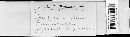 Claviceps purpurea image