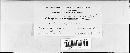 Coleosporium vernoniae image
