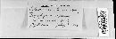 Claviceps purpurea image