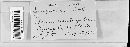 Cercospora sii image
