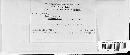 Coleosporium vernoniae image