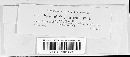 Colletotrichum liliacearum image