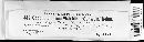 Coccophacidium pini image