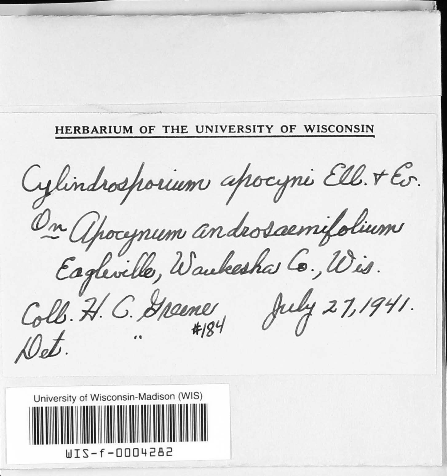 Cylindrosporium image