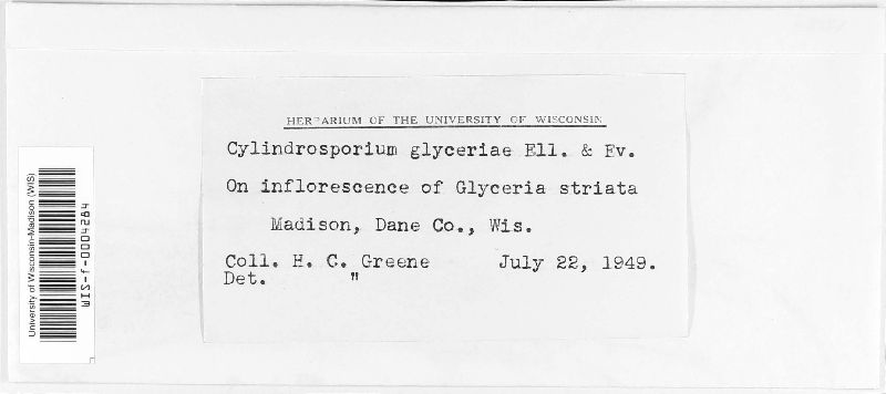 Cylindrosporium glyceriae image