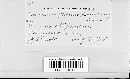 Cronartium quercuum image