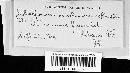 Coleosporium vernoniae image