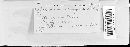 Coleosporium asterum image