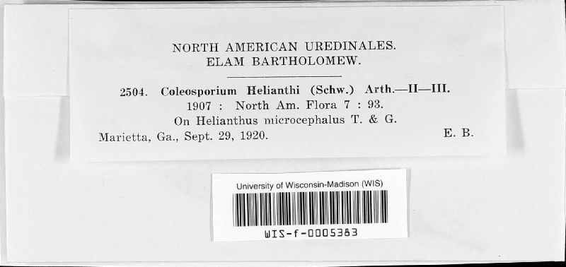 Coleosporium helianthi image