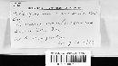 Coleosporium vernoniae image