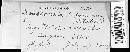 Doassansiopsis deformans image