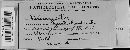 Ascochyta imperfecta image