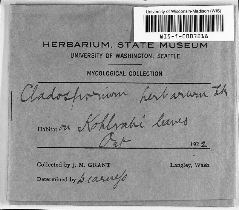 Cladosporium herbarum image
