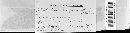Coleosporium asterum image