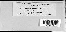 Coleosporium vernoniae image