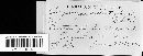 Chrysomyxa arctostaphyli image