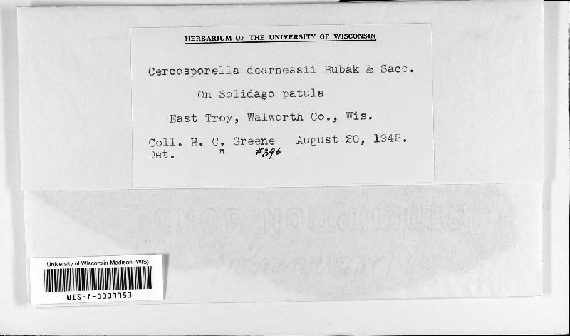 Cercosporella dearnessii image