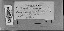 Botryotinia fuckeliana image