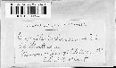 Golovinomyces cichoracearum image