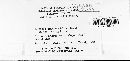 Blumeria graminis image