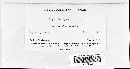 Blumeria graminis image