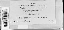 Blumeria graminis image