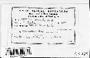 Blumeria graminis image