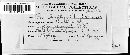 Blumeria graminis image