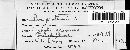 Blumeria graminis image