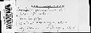 Blumeria graminis image