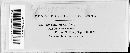 Erysiphe polygoni image