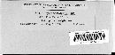 Erysiphe polygoni image