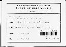 Exobasidium vaccinii image