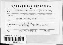 Exobasidium vaccinii image