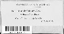Venturia inaequalis image
