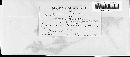 Arthuriomyces peckianus image