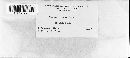 Arthuriomyces peckianus image