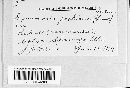 Arthuriomyces peckianus image