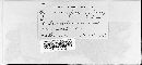 Arthuriomyces peckianus image