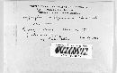 Hypoxylon rubiginosum image