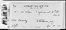 Ascobolus equinus image