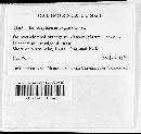 Leptosphaeria vagans image