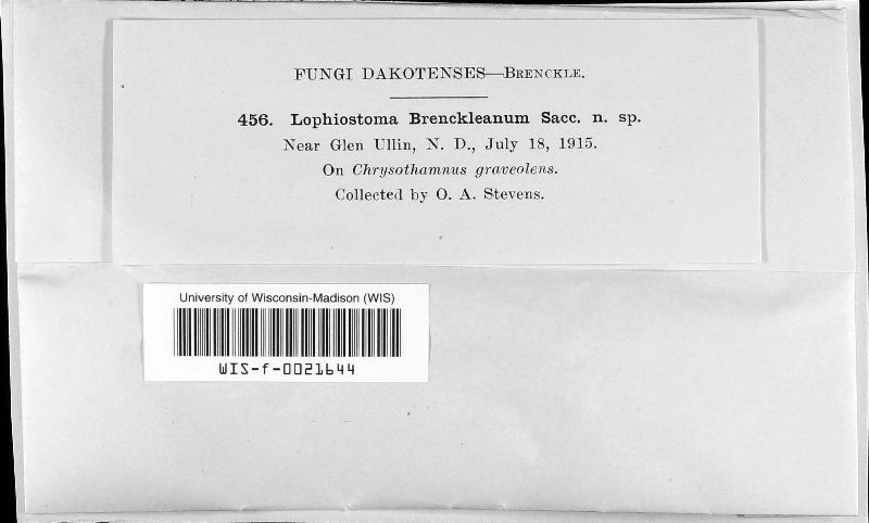 Lophiostoma brenckleanum image