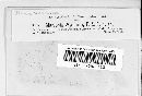 Pseudodidymaria wyethiae image
